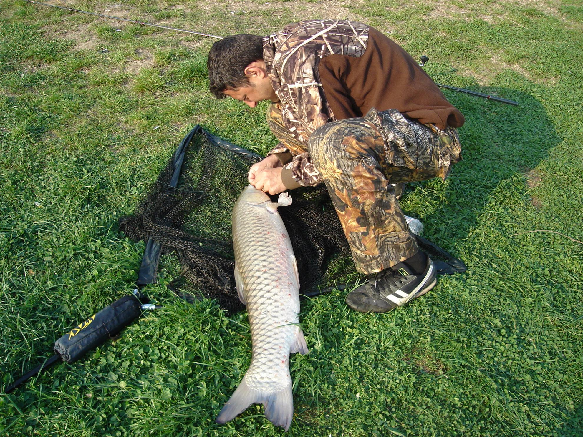 Hobaia - dsc01715.JPG